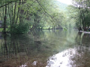 Springs of Bosnia river